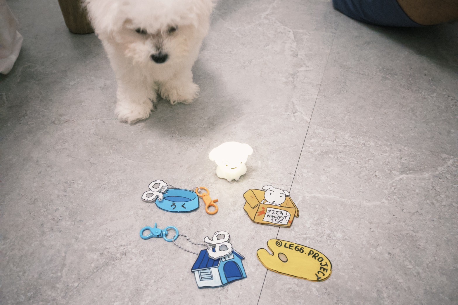 【 寵物的離別與重生 】 66 來我家 4 【 寵物的離別與重生 】 66 來我家