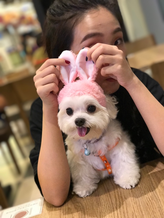 【 寵物的離別與重生 】 66 來我家 1 【 寵物的離別與重生 】 66 來我家